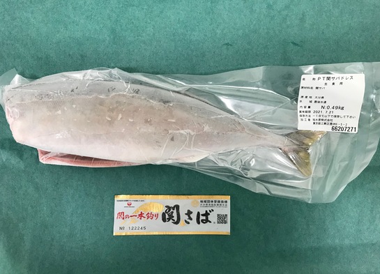 Asahi's Proton Series　Chub Mackerel