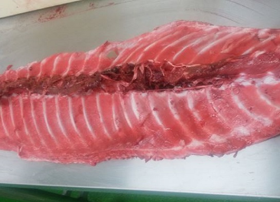 JFC Fresh's Bluefin Tuna　Farmed Bluefin Tuna Back Bone Meat