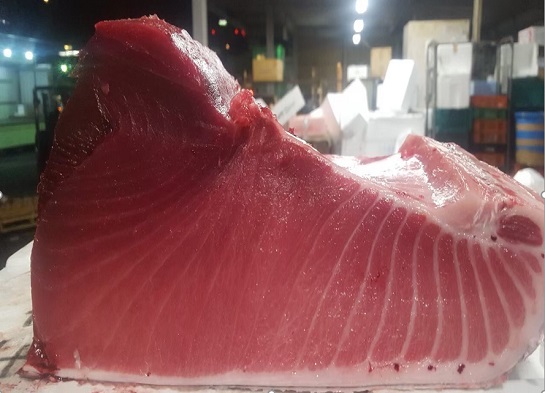 JFC Fresh's Bluefin Tuna　Wild Bluefin Tuna Upper Belly