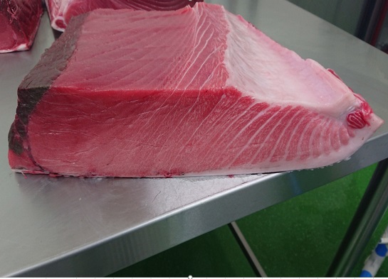 JFC Fresh's Bluefin Tuna　Medium Fatty Farmed Bluefin Tuna From Turkey