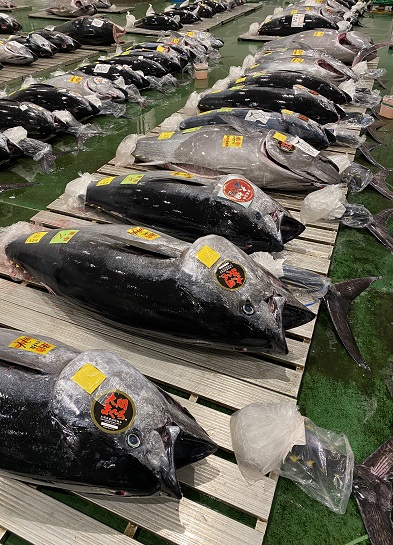 JFC Fresh's Bluefin Tuna