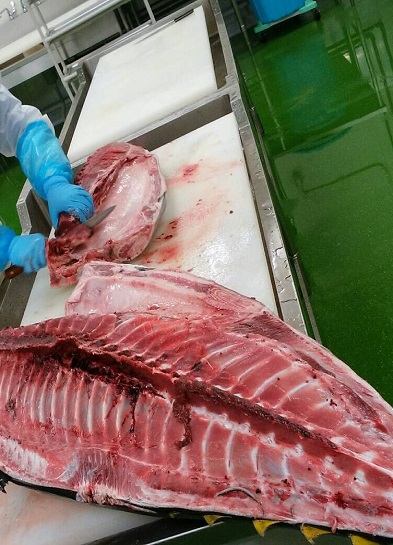 JFC Fresh's Bluefin Tuna